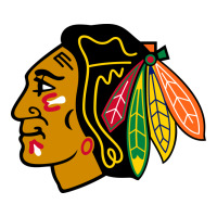 The  Blackhawks Heavyweight Hoodie | Teevron