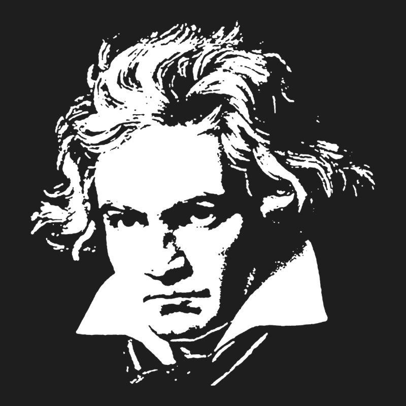 Beethoven Heavyweight Hoodie by linhVisuals | Teevron