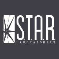 Star Labs Team Heavyweight Hoodie | Teevron