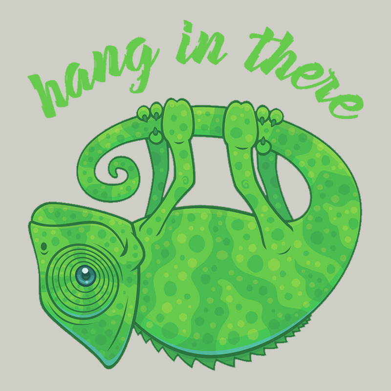 Hang In There Magical Chameleon Heavyweight Hoodie by linhVisuals | Teevron