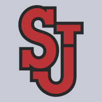 St. John's Red Storm Heavyweight Hoodie | Teevron