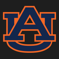 Auburn Tigers Heavyweight Hoodie | Teevron