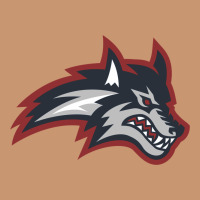 Stony Brook Seawolves Heavyweight Hoodie | Teevron