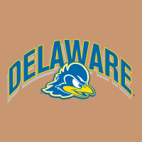 Delaware Sportss Heavyweight Hoodie | Teevron