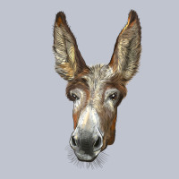 American Mammoth Jackstock Donkey  Face Premium Hoodie | Teevron