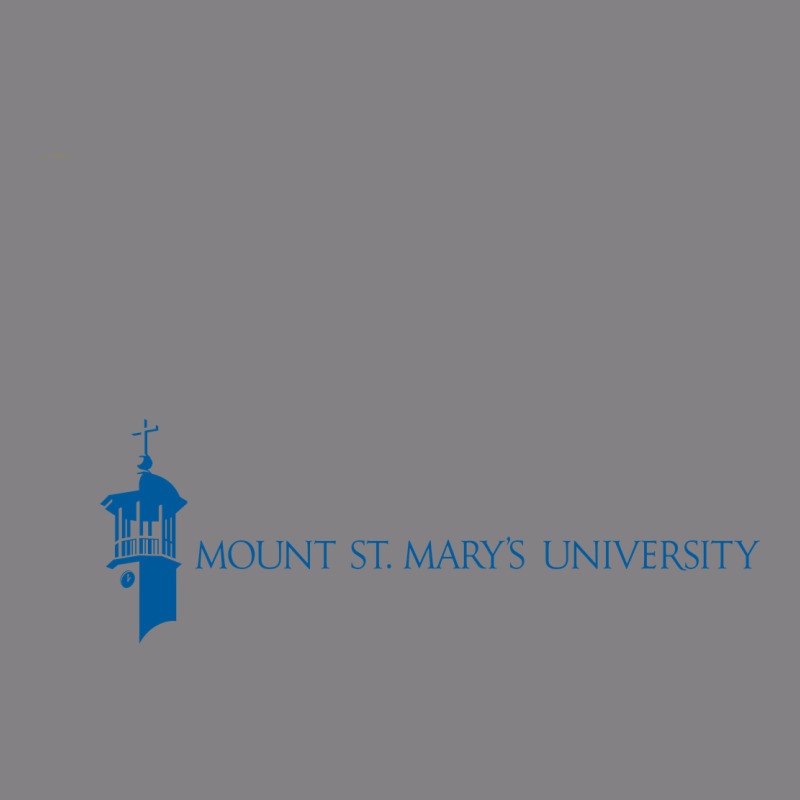 The Mount St Mary's University Heavyweight Hoodie by linhVisuals | Teevron