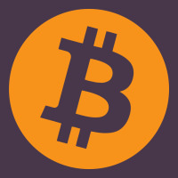 Bitcoin Ledger Blockchain Satoshi Btc Heavyweight Hoodie | Teevron