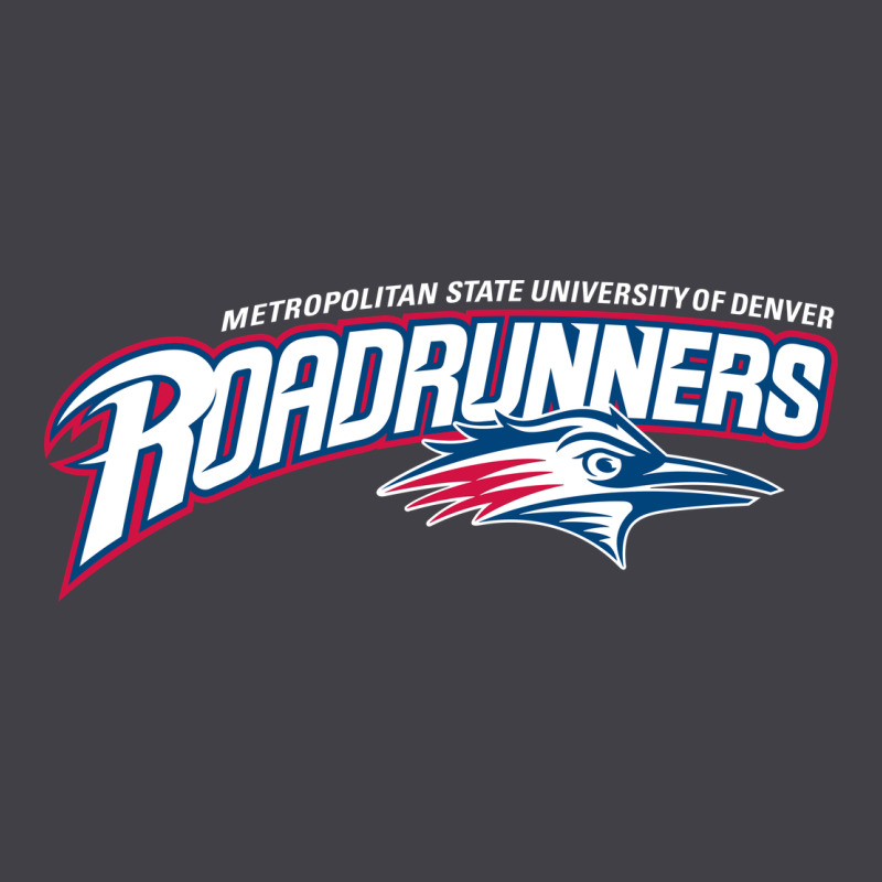 The Msu Denver Roadrunners Heavyweight Hoodie by linhVisuals | Teevron