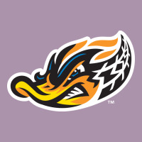 Akron-rubber-ducks Heavyweight Hoodie | Teevron