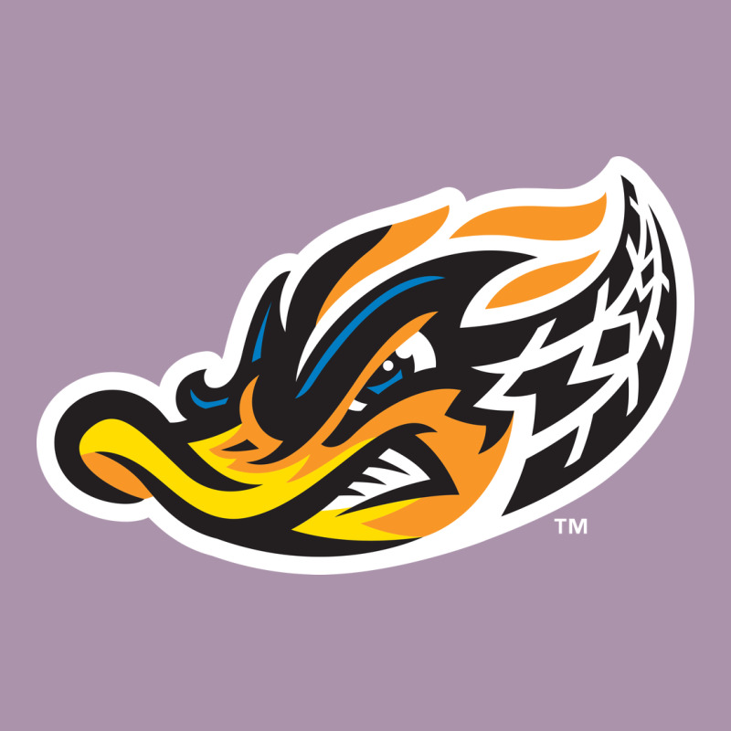 Akron-rubber-ducks Heavyweight Hoodie by linhVisuals | Teevron