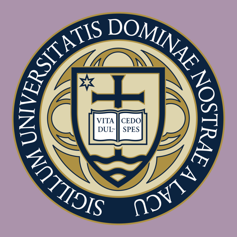 University Dame Heavyweight Hoodie by linhVisuals | Teevron
