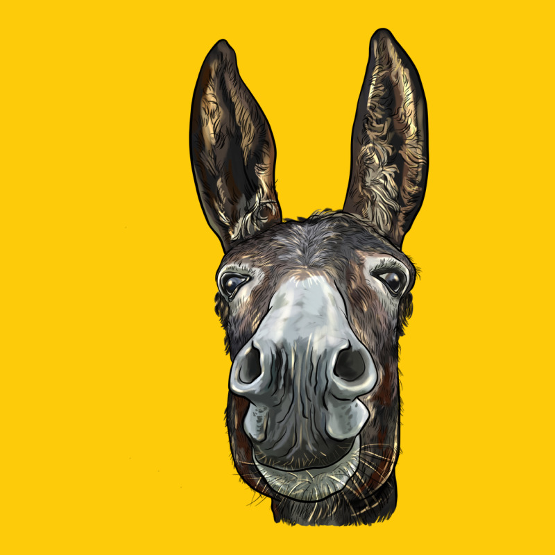 Donkey  Face Premium Hoodie by LillyAllenDesigns | Teevron