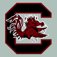 The Gamecocks Athletics Heavyweight Hoodie | Teevron