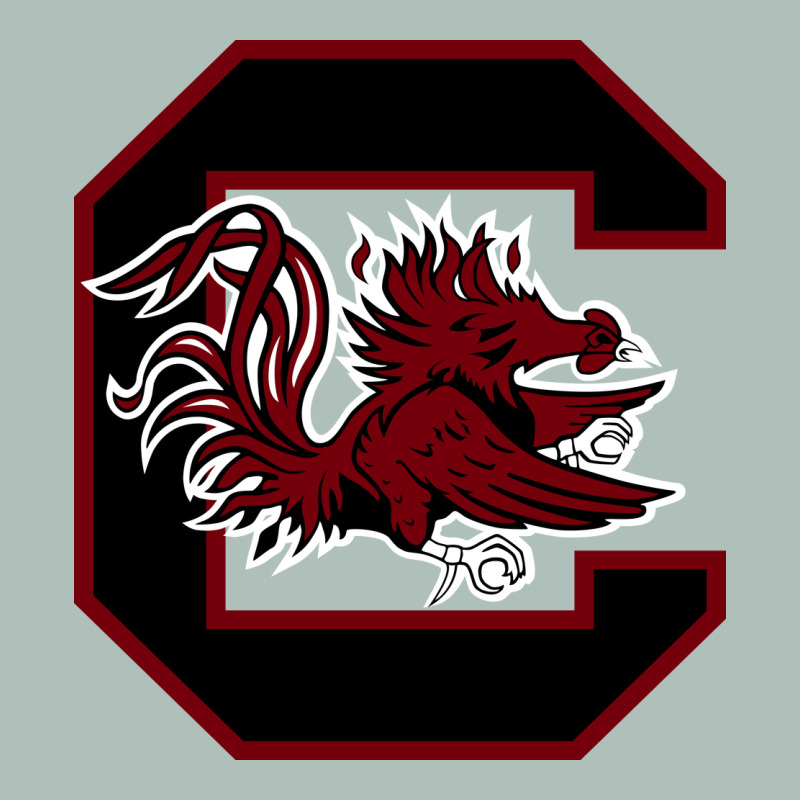 The Gamecocks Athletics Heavyweight Hoodie by linhVisuals | Teevron