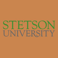 Stetson University Heavyweight Hoodie | Teevron