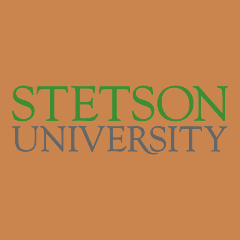 Stetson University Heavyweight Hoodie by linhVisuals | Teevron