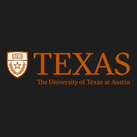 The University Of Texas Austin Heavyweight Hoodie | Teevron