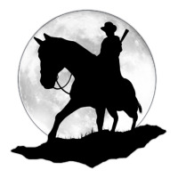 red dead redemption | Teevron