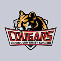 Cougars, Kokomo Education Heavyweight Hoodie | Teevron