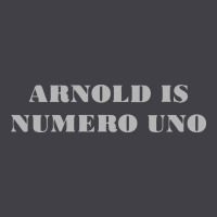 Arnold Is Numero Uno Heavyweight Hoodie | Teevron