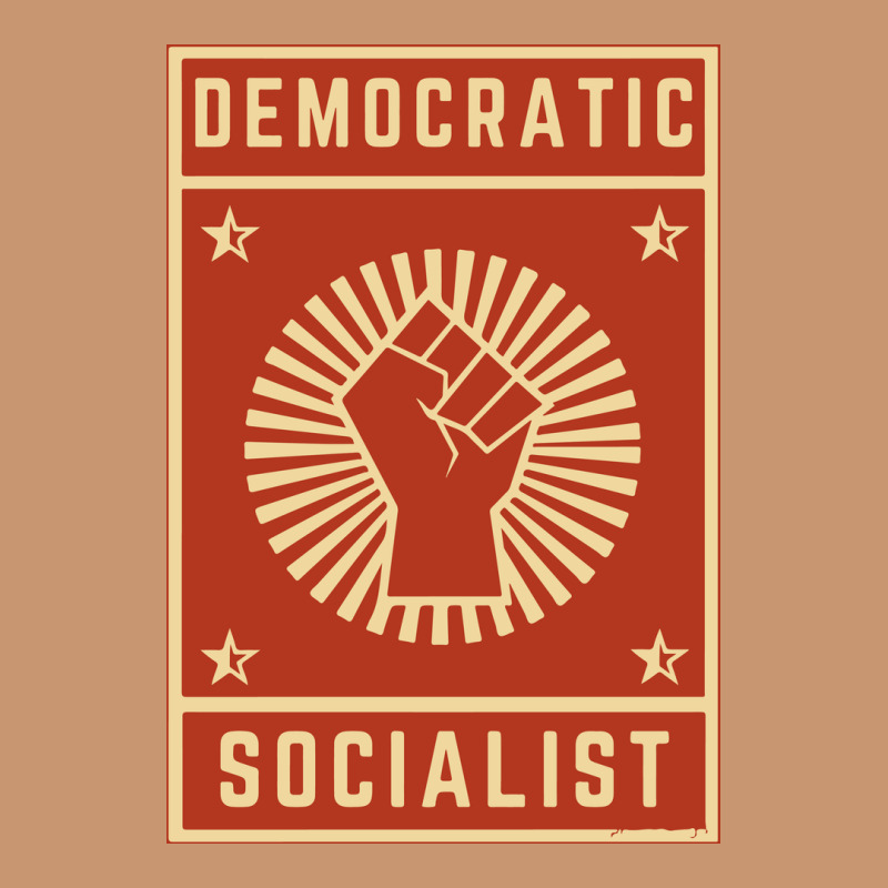 Democratic Socialist Heavyweight Hoodie by linhVisuals | Teevron
