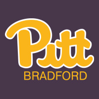 Pitt Bradford, University Of Pittsburgh At Bradford, Heavyweight Hoodie | Teevron