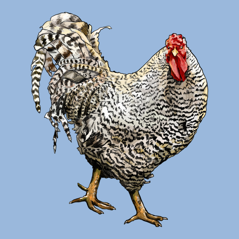 Dominique Rooster Premium Hoodie by LillyAllenDesigns | Teevron