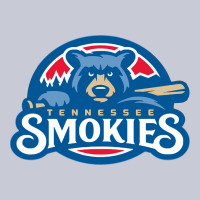 Tennessee Smokies Heavyweight Hoodie | Teevron