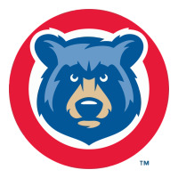tennessee smokies | Teevron