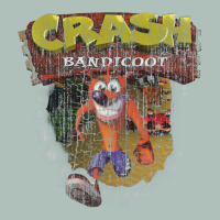 Crash Bandicoot 1966 Heavyweight Hoodie | Teevron