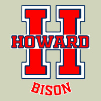 Howard 1867 University Heavyweight Hoodie | Teevron