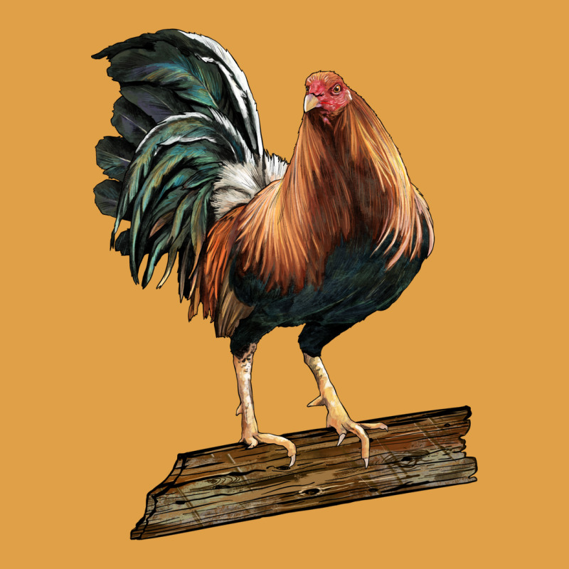 American Game Rooster Standing Premium Hoodie by LillyAllenDesigns | Teevron