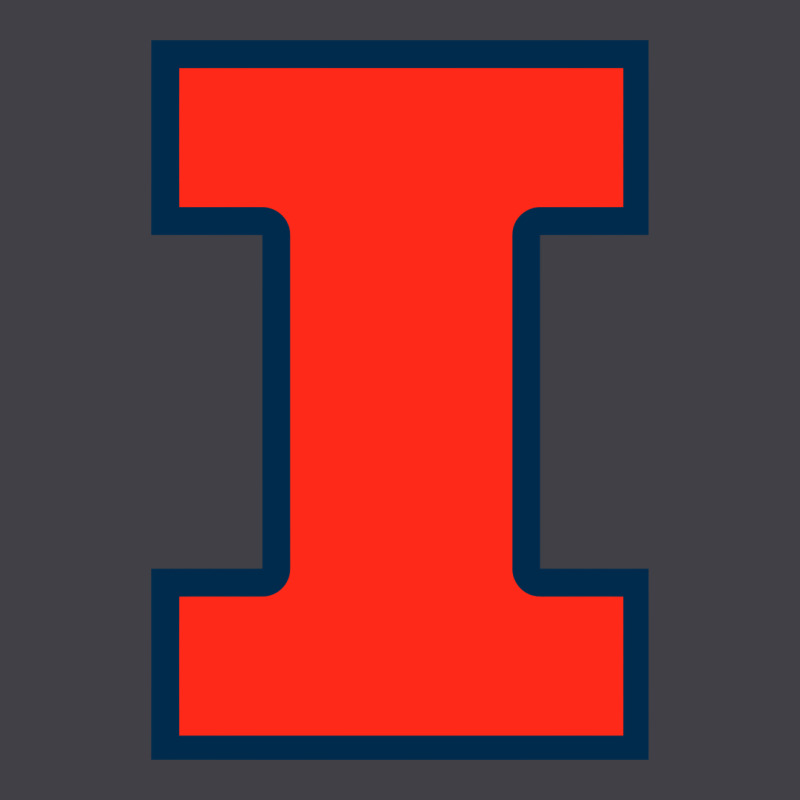 Illinois Fighting Illini Heavyweight Hoodie by linhVisuals | Teevron