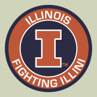Illinois Fighting Illini Heavyweight Hoodie | Teevron