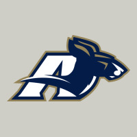 Akron University Zips Heavyweight Hoodie | Teevron