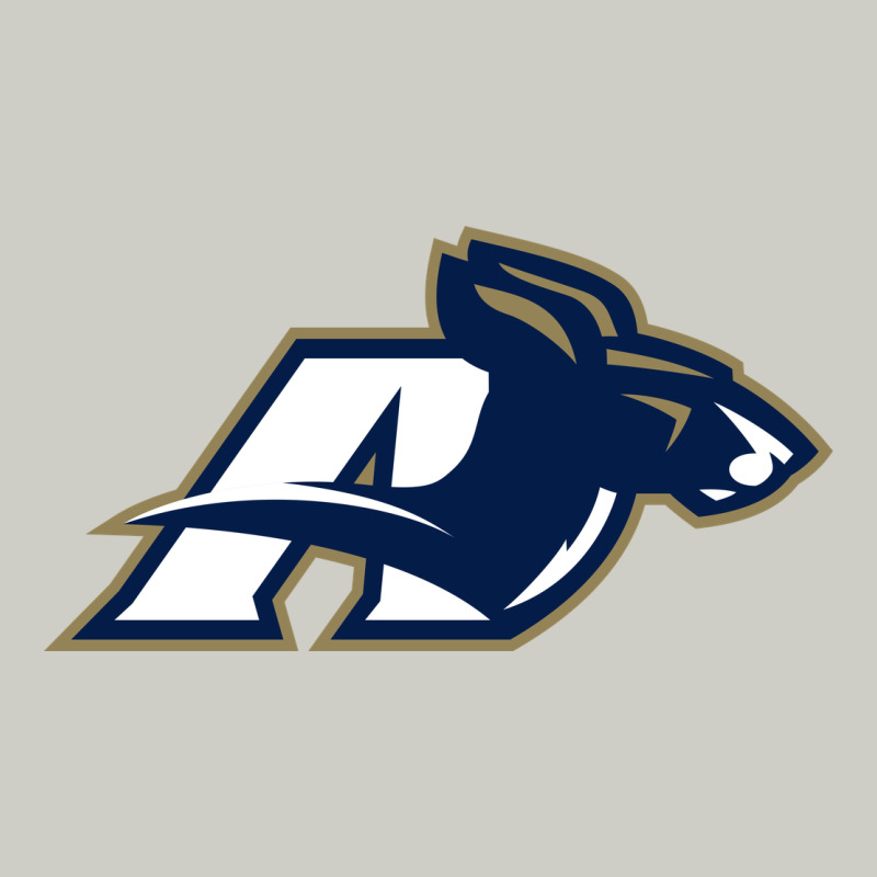 Akron University Zips Heavyweight Hoodie by linhVisuals | Teevron