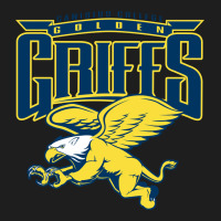 Canisius Golden Griffins College Heavyweight Hoodie | Teevron