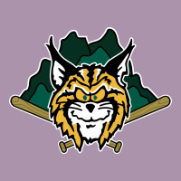 Lynchburg Hillcats Baseball Heavyweight Hoodie | Teevron