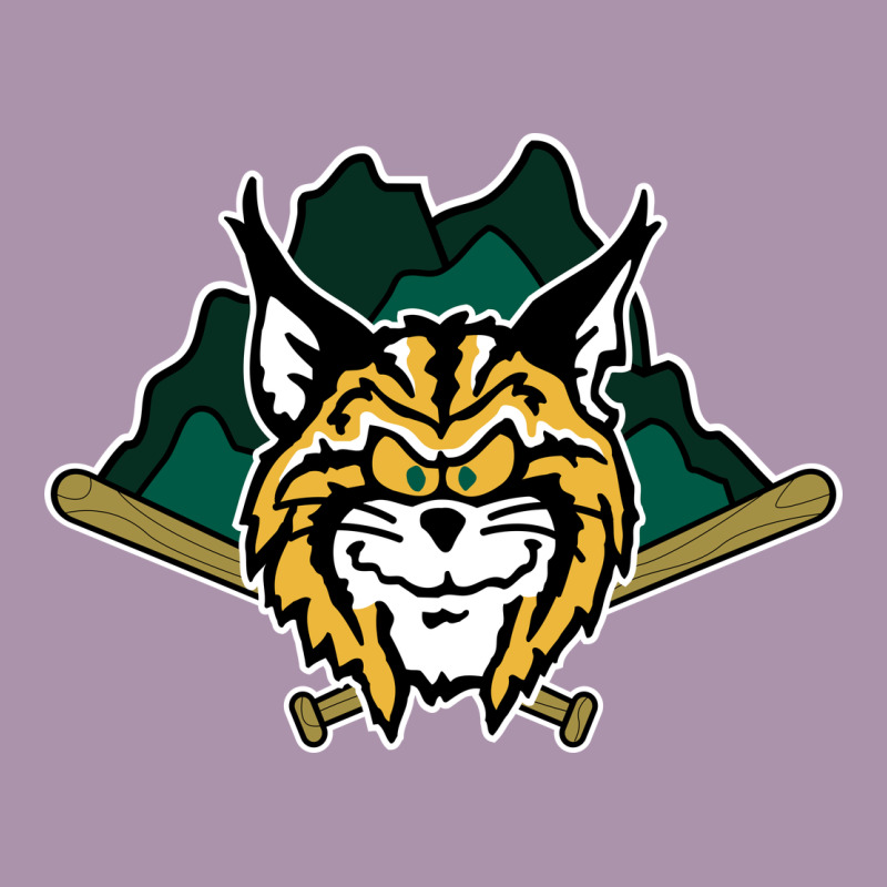 Lynchburg Hillcats Baseball Heavyweight Hoodie by linhVisuals | Teevron