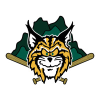 lynchburg hillcats Baseball | Teevron