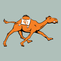 Campbell Fighting Camels Heavyweight Hoodie | Teevron