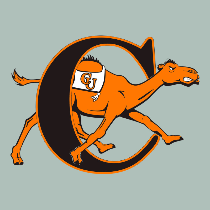 Campbell Fighting Camels Heavyweight Hoodie by linhVisuals | Teevron