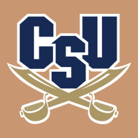 Charleston Southern Buccaneers Heavyweight Hoodie | Teevron
