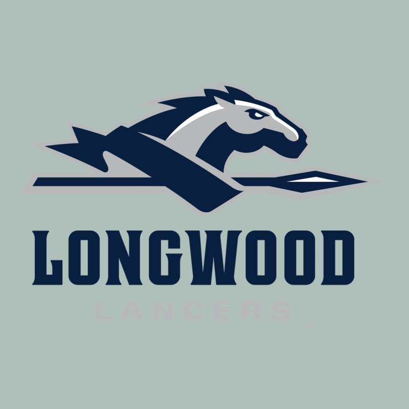 Longwood Lancers Heavyweight Hoodie by linhVisuals | Teevron