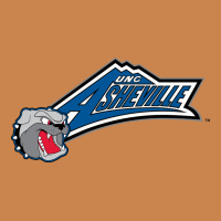 Unc Asheville Bulldogs Heavyweight Hoodie | Teevron
