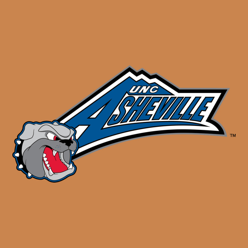 Unc Asheville Bulldogs Heavyweight Hoodie by linhVisuals | Teevron