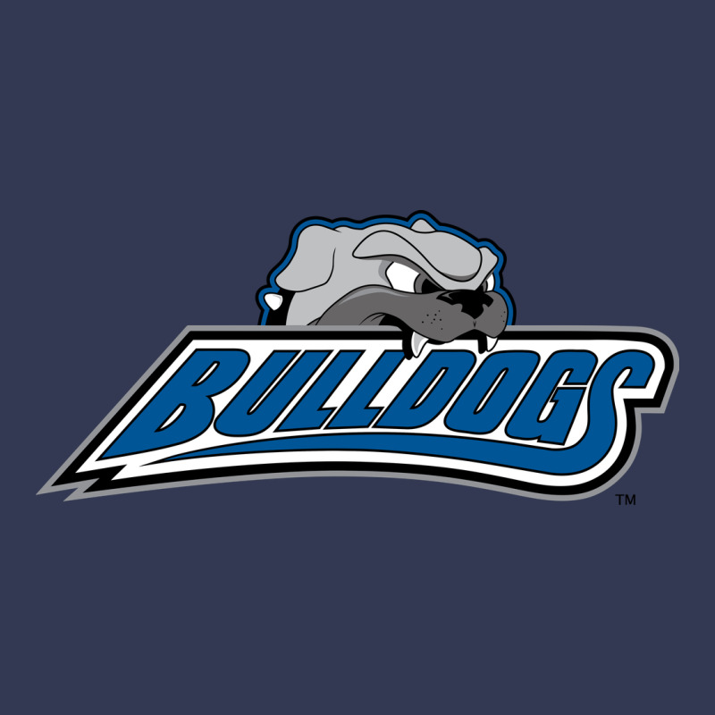 Unc Asheville Bulldogs Heavyweight Hoodie by linhVisuals | Teevron