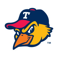 suitable-toledo-mud-hens-worn | Teevron