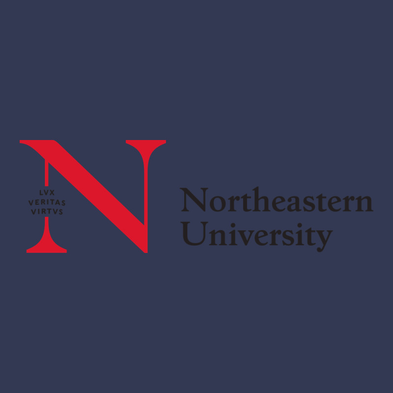 The The Northeastern Heavyweight Hoodie by linhVisuals | Teevron