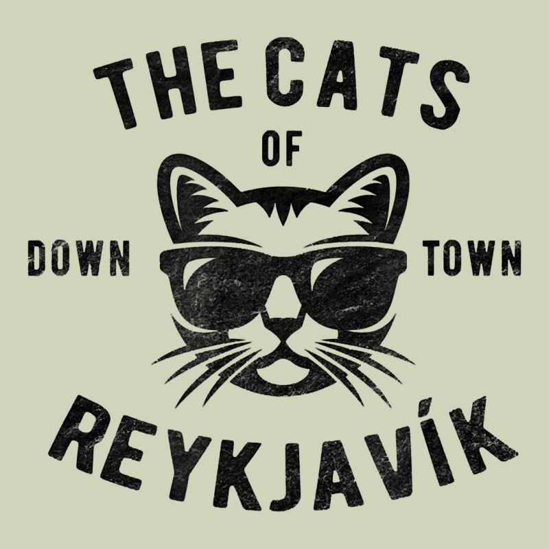 Cats Of Downtown Reykjavik T Shirt Heavyweight Hoodie by linhVisuals | Teevron